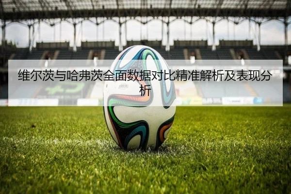 维尔茨与哈弗茨全面数据对比精准解析及表现分析（ayx.com）